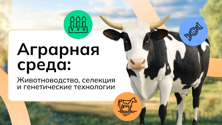 "РОССИЯ-МОИ ГОРИЗОНТЫ".